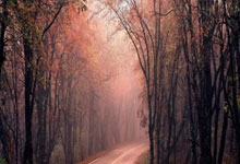 太阳能电池路灯