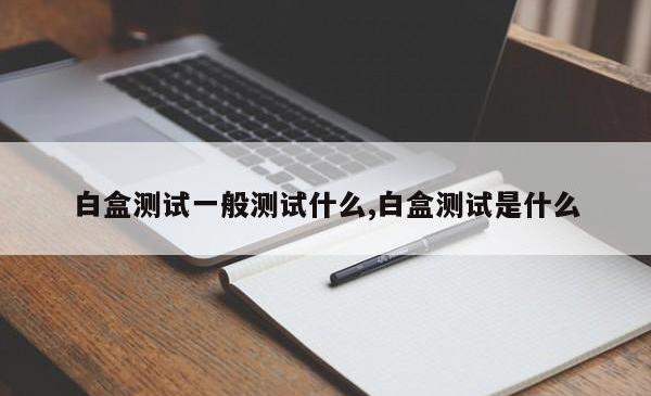 白盒测试一般测试什么,白盒测试是什么